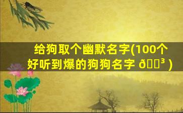 给狗取个幽默名字(100个好听到爆的狗狗名字 🌳 )